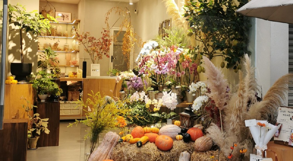 花与馨31类商标注册