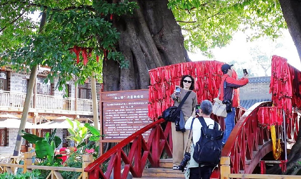 旌美仙桥30&33类商标注册