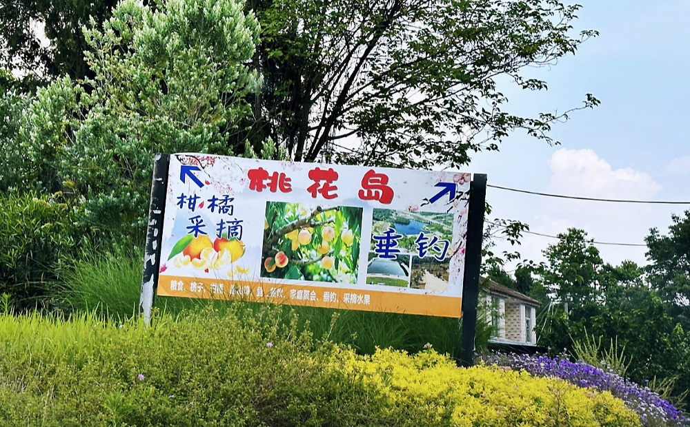 桃花岛采摘园